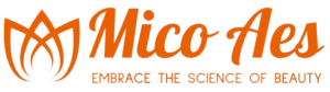 mico aes logo