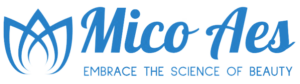 mico aes logo-3