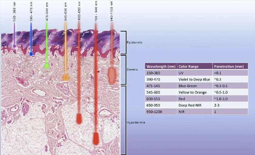 wavelength and penetration depth